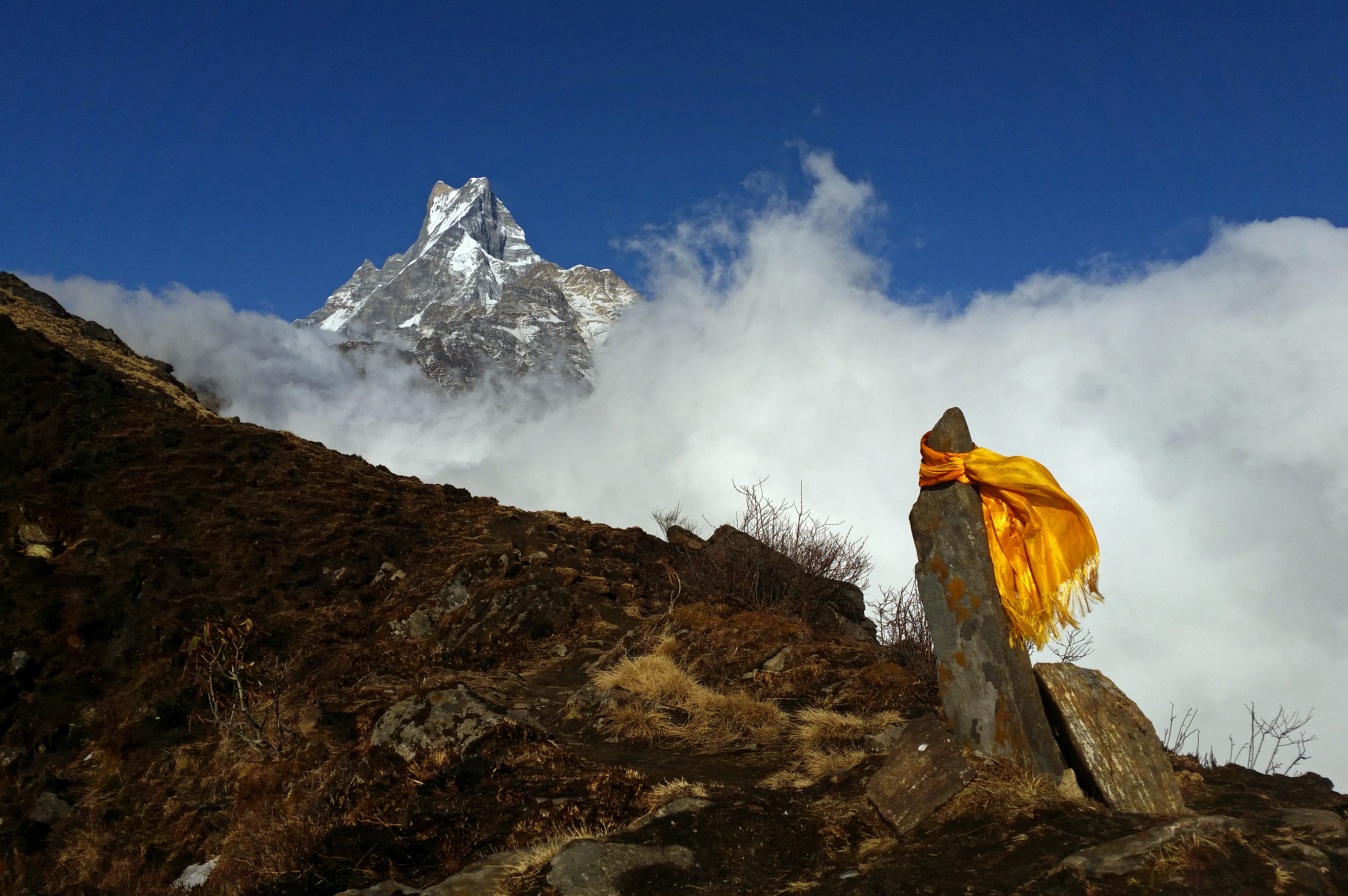 Mardi Himal Trek - 10 Days